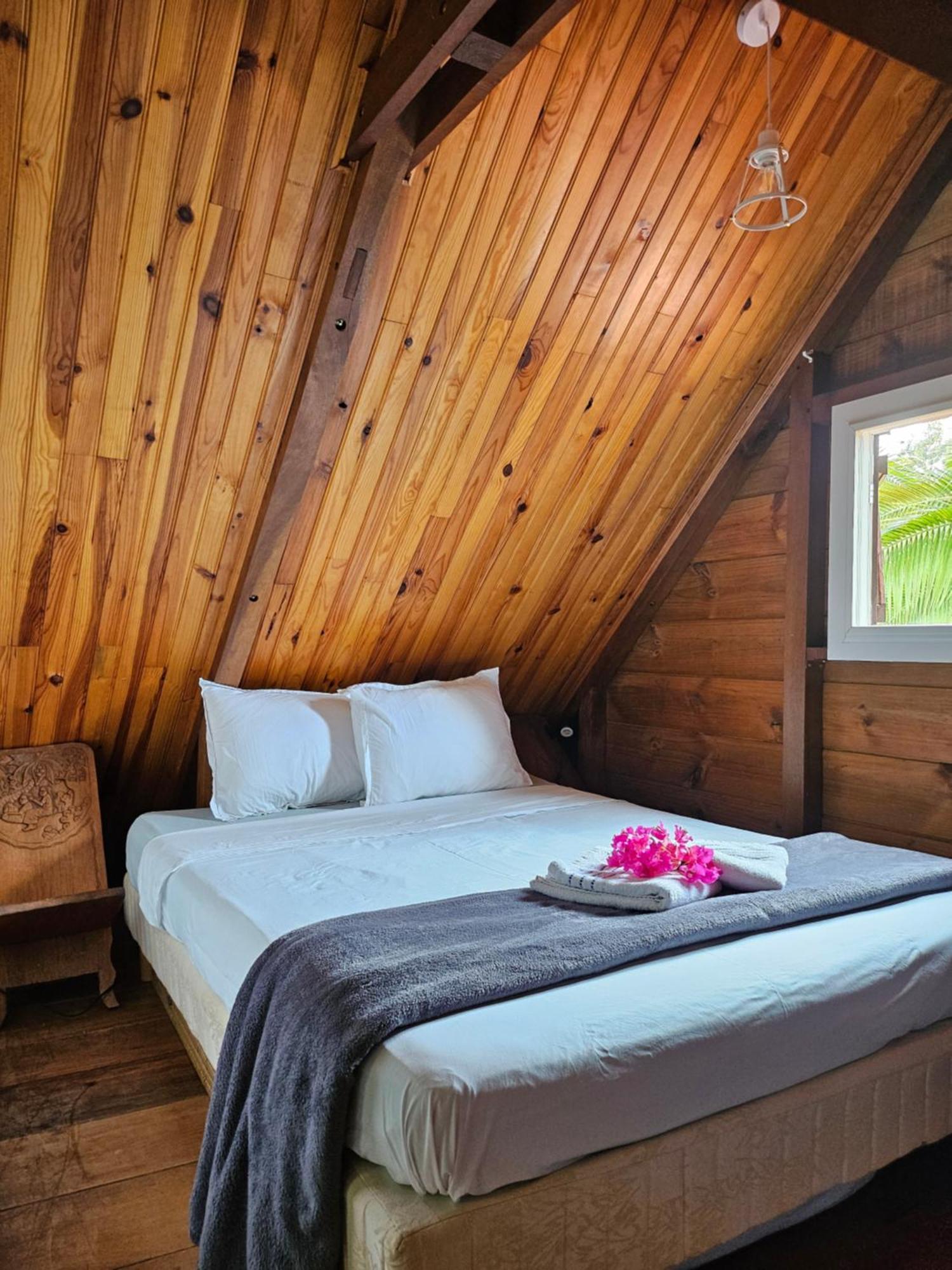 Ti Palissandre Noël Extérieur photo